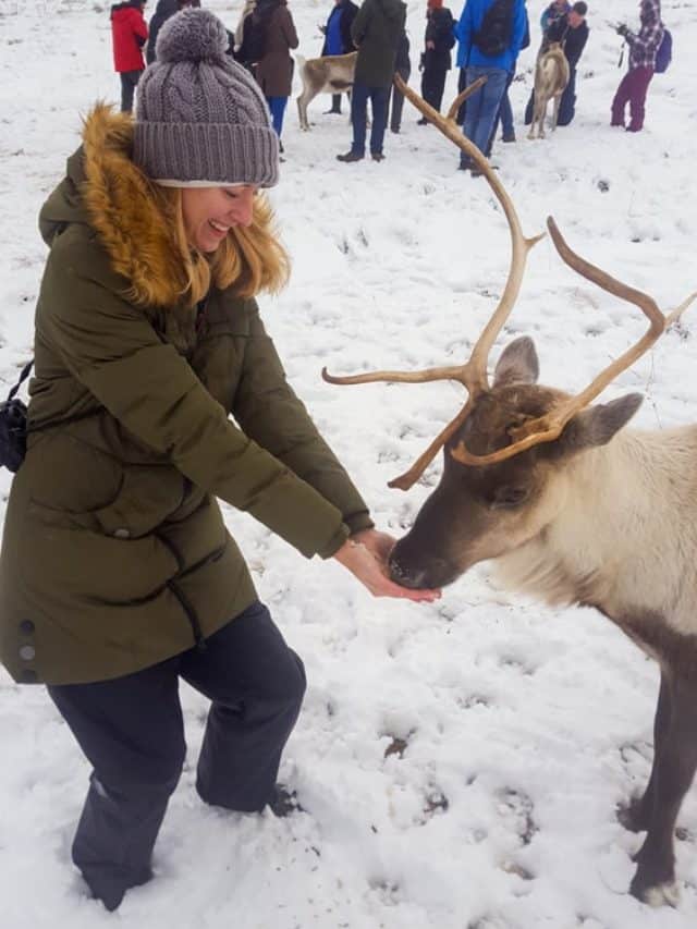 Things To Do In Scotland In November
