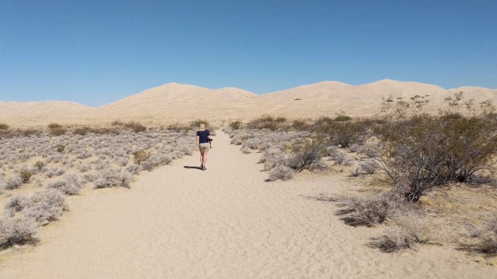 The Kelso Dunes in the Mojave Preserve is a great road trip stop
