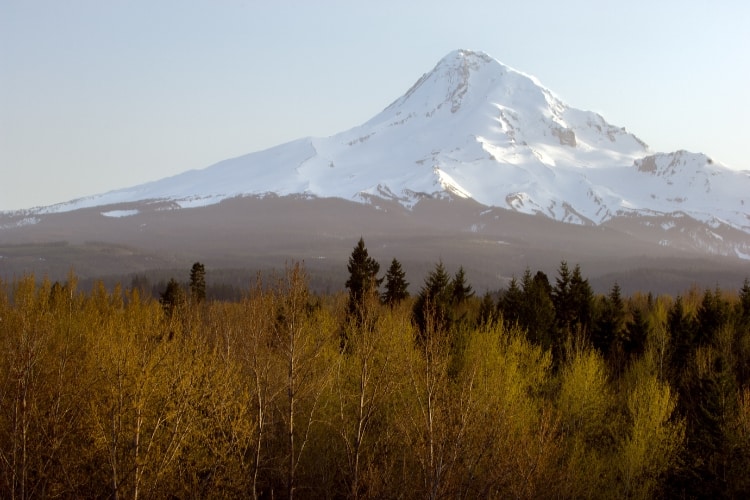 Mount Hood is a great place to stop for a break on your road trip from Idaho to California